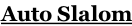 Auto Slalom